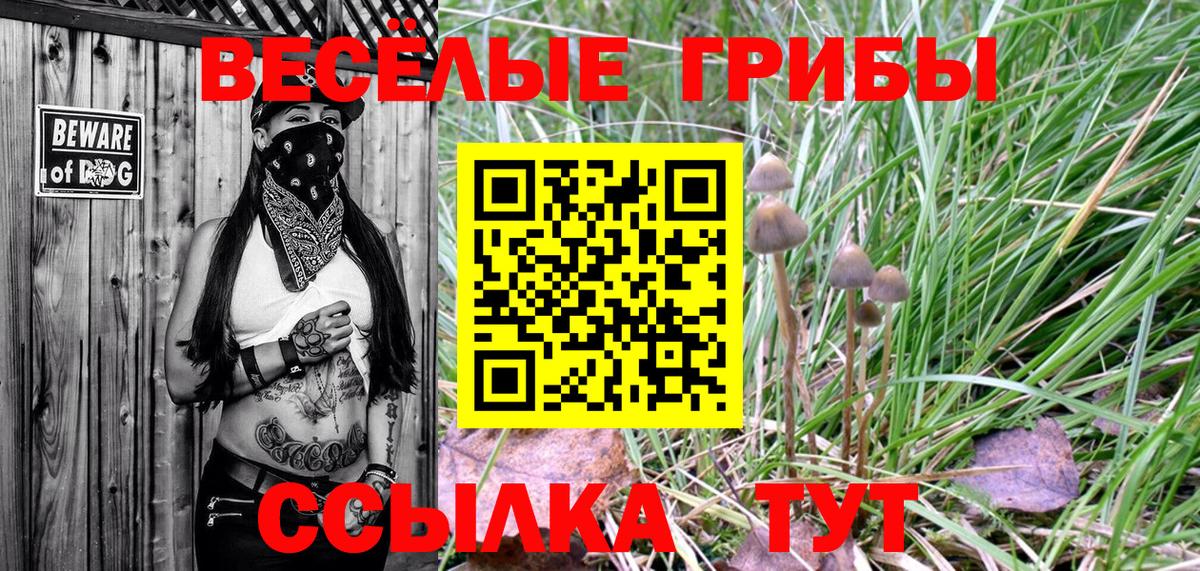 Псилоцибиновые грибы прущие грибы  Псилоцибиновые грибы GOLDEN TEACHER  Заволжье  Вход с VPN 